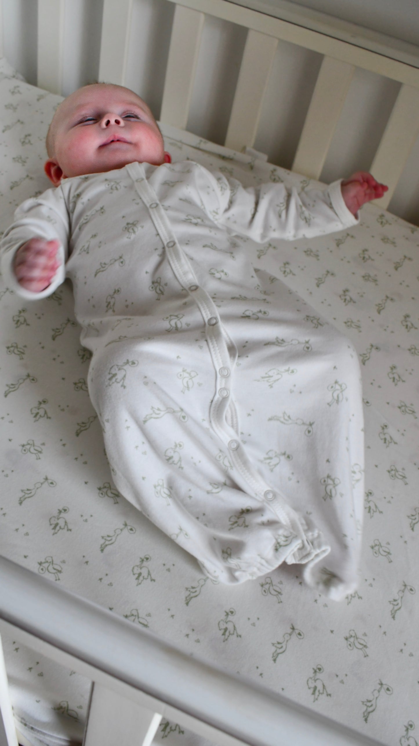 SnapGown Romper & Beanie Set - Lovey stork