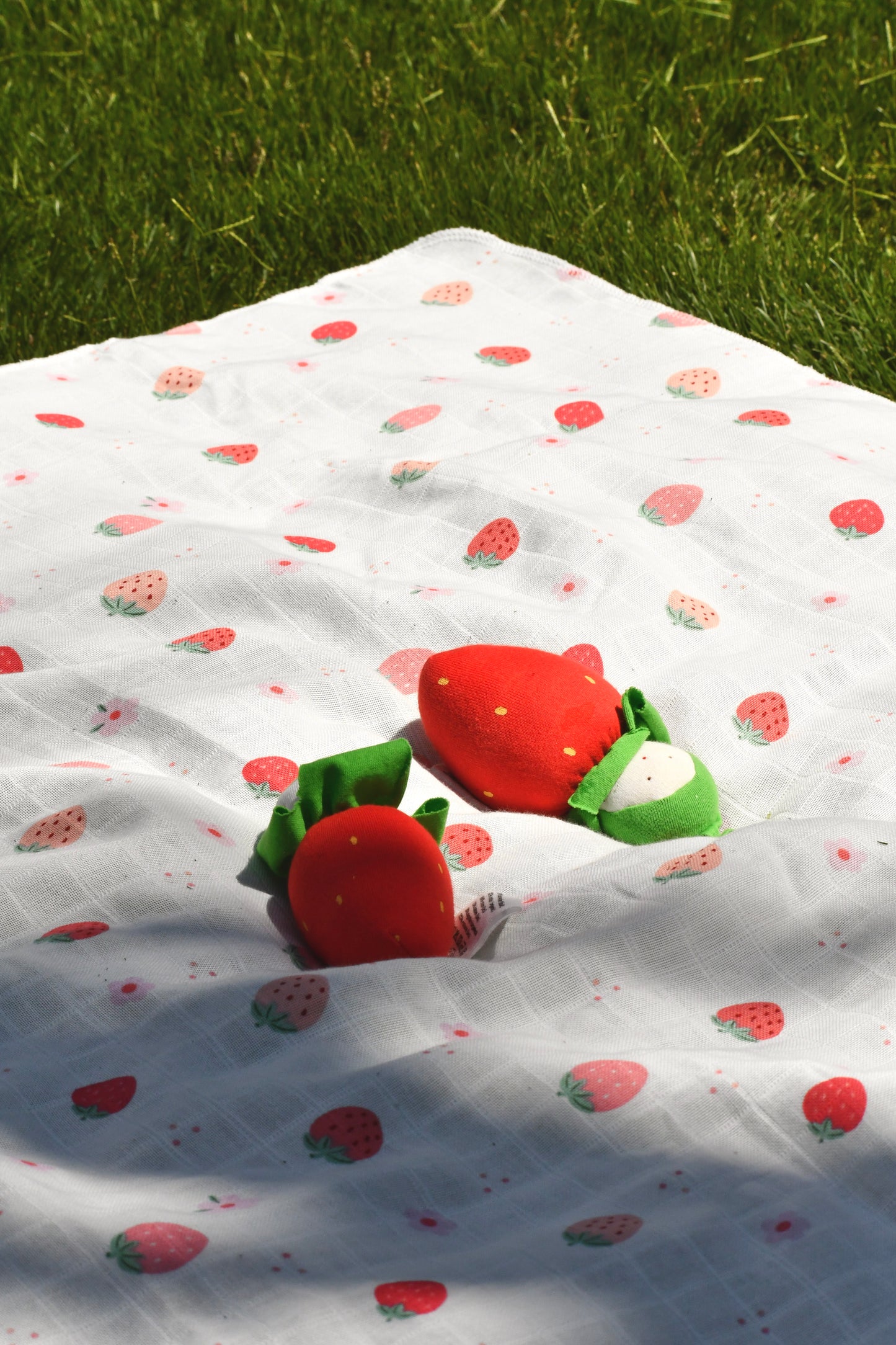 Muslin Receiving Blanket - Sweet Berry